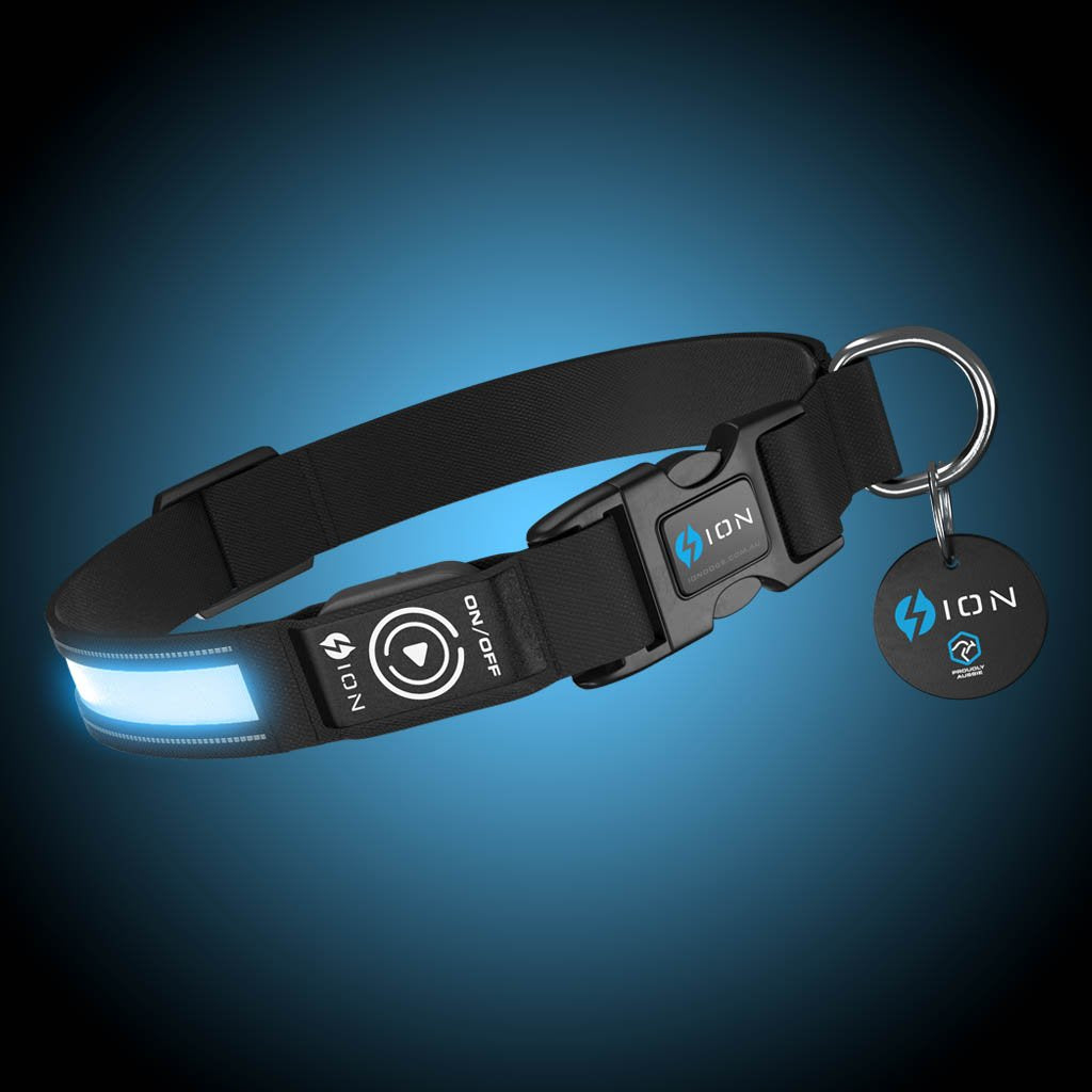 led-dog-collar